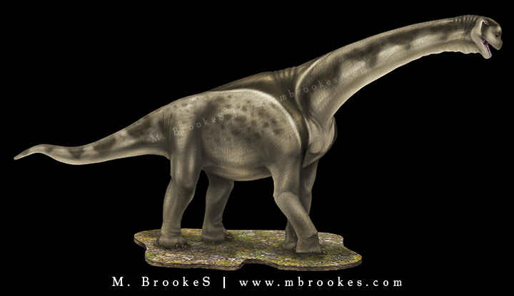 Camarasaurus